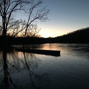 Meet your Posher, Shelby